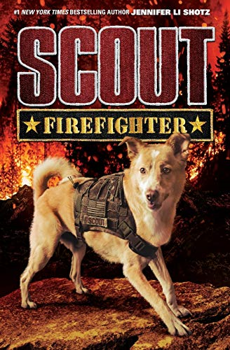 Scout: Firefighter (Scout)