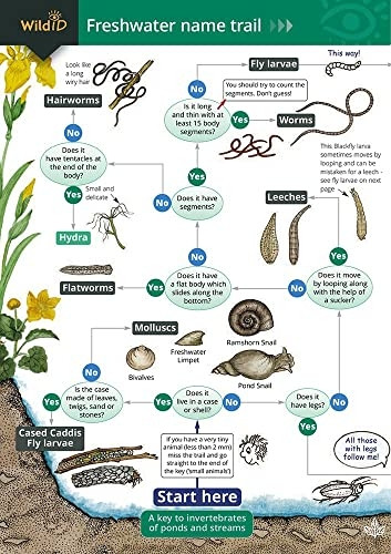 Freshwater Name Trial (Chart)