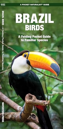 Brazil Birds (Pocket Naturalist Guide)