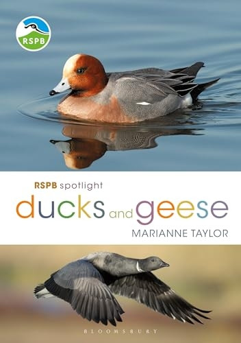 RSPB Spotlight Ducks and Geese (RSPB)