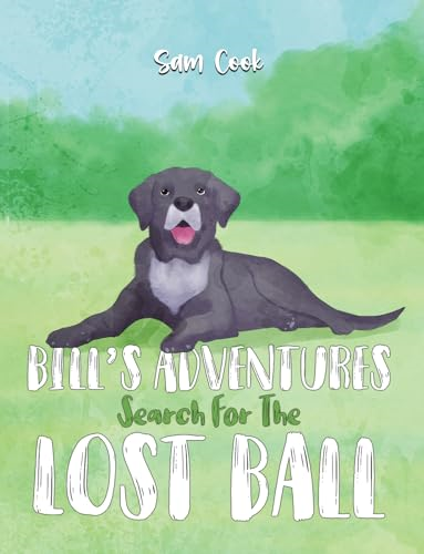 Bill's Adventures: Search  for the Lost Ball