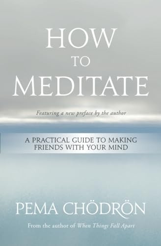 How to Meditate: A Practical Guide to Making Friends with Your Mind