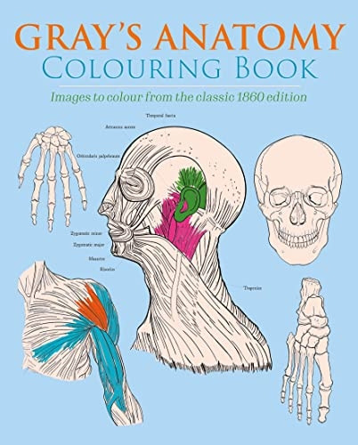 Gray's Anatomy Colouring Book: Images to Colour from the Classic 1860 Edition (Arcturus Creative Colouring)