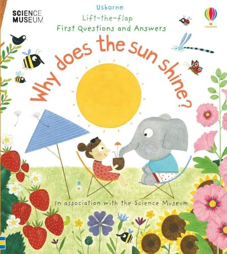 Why Does the Sun Shine? (Lift the Flap First Questions and Answers) [Board book]