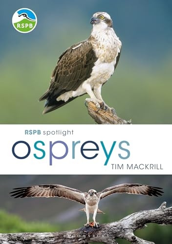 RSPB Spotlight Osprey