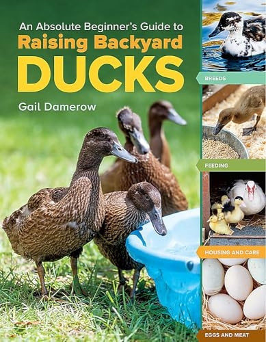 An Absolute Beginner's Guide to Raising Backyard Ducks: Breeds, Feeding, Housing and Care, Eggs and Meat