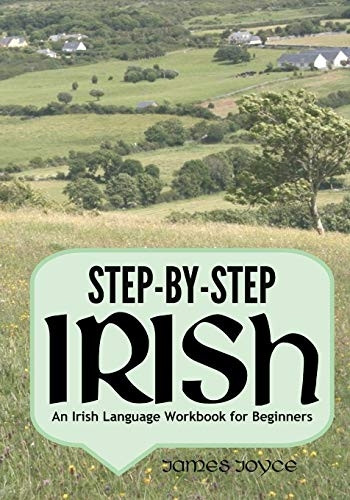 Step-By-Step Irish: An Irish Language Workbook for  Beginners