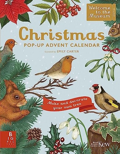 Welcome to the Museum: A Christmas Pop-Up Advent Calendar (Welcome To The Museum)