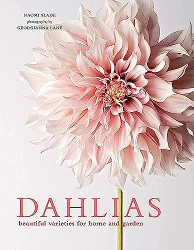 Dahlias: Beautiful Varieties for Home & Garden