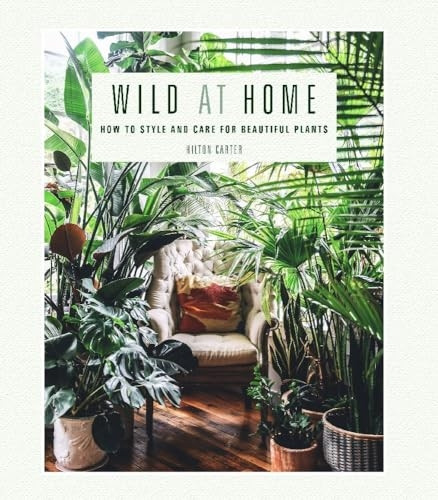 Wild at Home: How to Style and Care for Beautiful Plants
