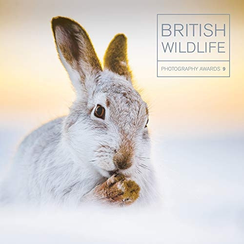 British Wildlife Photography  Awards 9