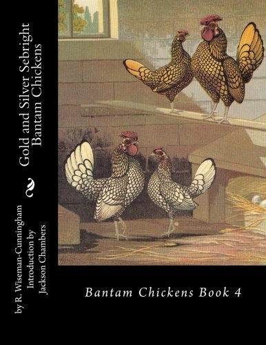 Gold and Silver Sebright Bantam Chickens