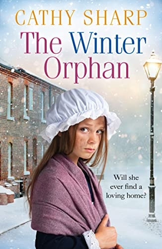 Child Left Out in the Snow