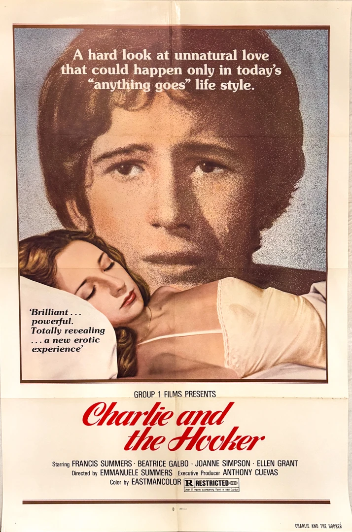 Charlie and the Hooker movie poster