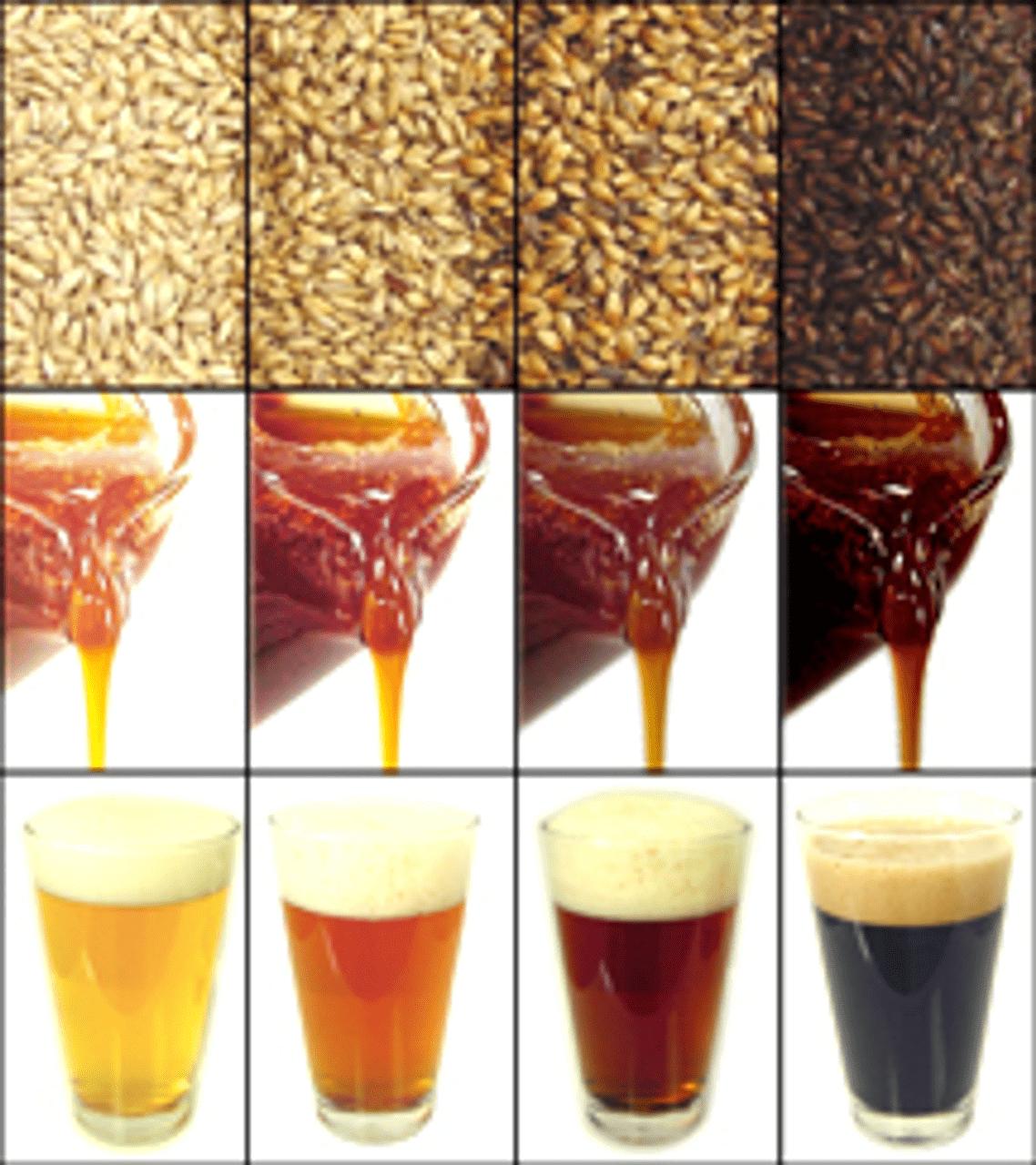 Beer Malts (Liquid & Dry)