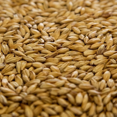 Dingemans Cara 8 (20 EBC) 10LB