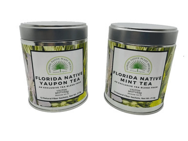 Florida Native Tea