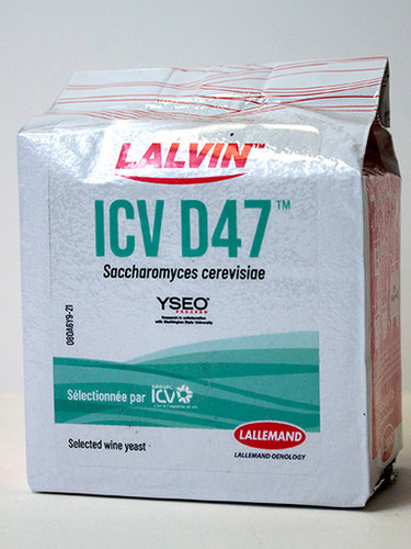 ICV-D-47 Lalvin Dry Wine Yeast 500 Gram Brick