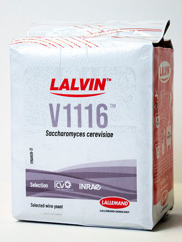 K1V-1116 Lalvin Dry Yeast 500 Gram Brick