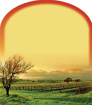 MacDay Custom Label #MD57