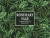 Rosemary Sage Yaupon Holly Tea