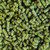 Centennial Pellet Hops - 1oz.