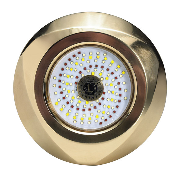 Lumitec SeaBlaze Typhoon Underwater Bronze Thru-Hull LED Light - White\/Blue [101448]