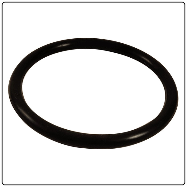 Fuel Pump O-ring