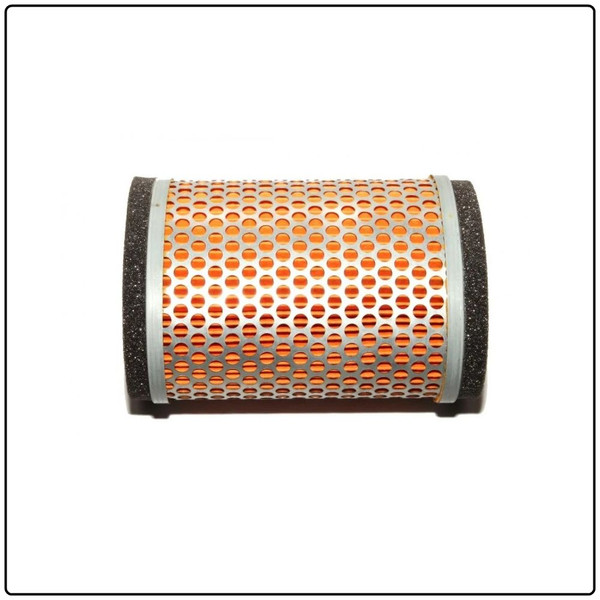 Air Filter T2202450