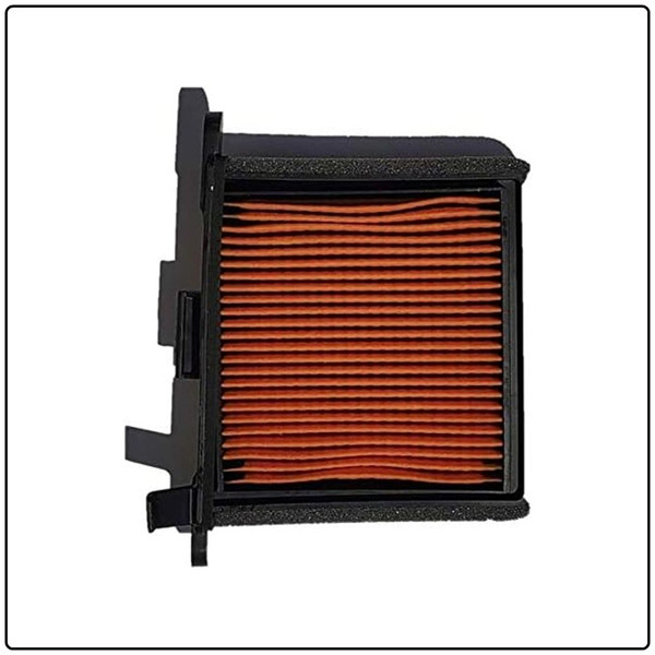 Air Filter T2206531