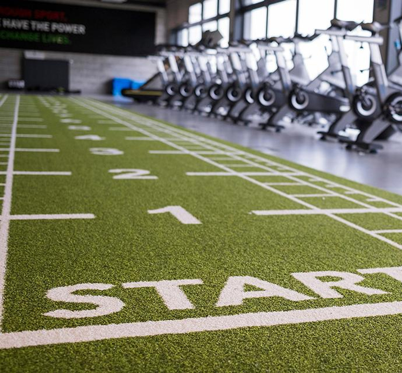 Ecore Flex Turf Logo or Lines