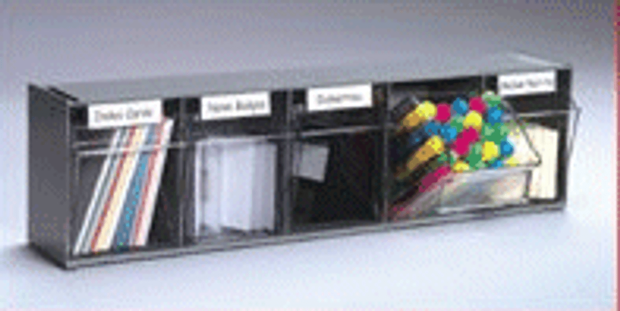 Lockable Tilt Bin Organizers