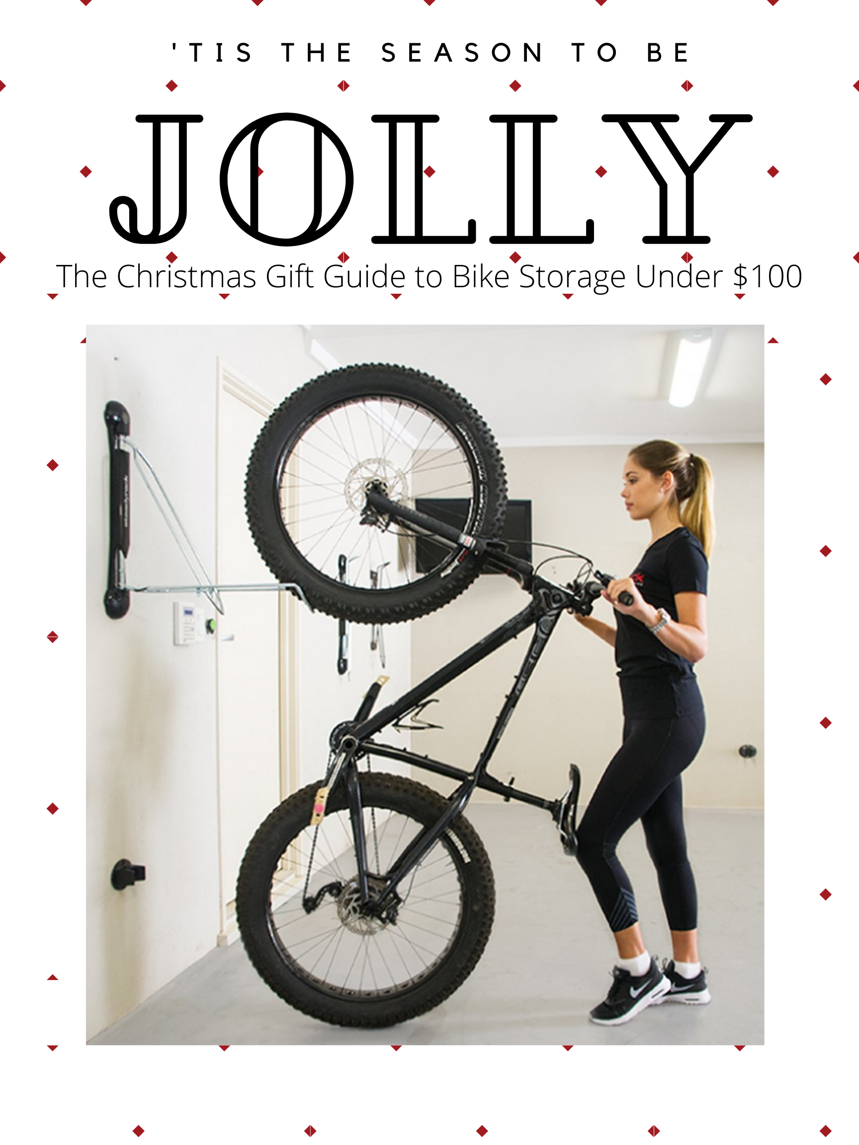 Christmas Gifts Under $100 - Bike Storage