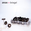 anax + Briegel Glossy Wheels: Medium Wheels (horse/goat hair), 50 pieces