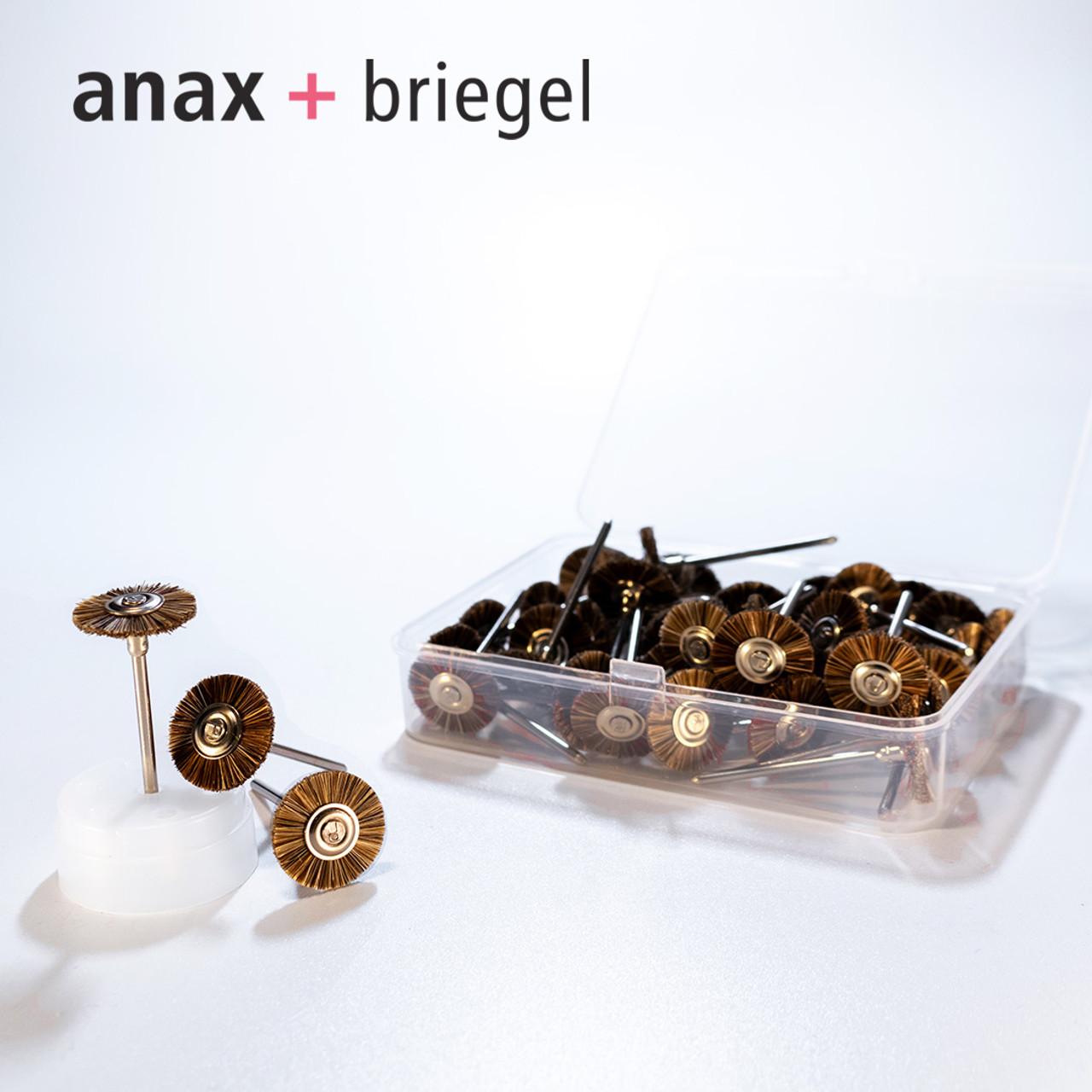 anax + Briegel Glossy Wheels: Firm Wheels (horse hair), 50 pieces