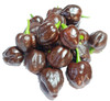 CHOCOLATE DROP MATURE PODS 2