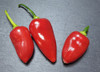 WHAM PEPPER MATURE PODS