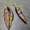 Mirasol Chocolate Mature Pods
