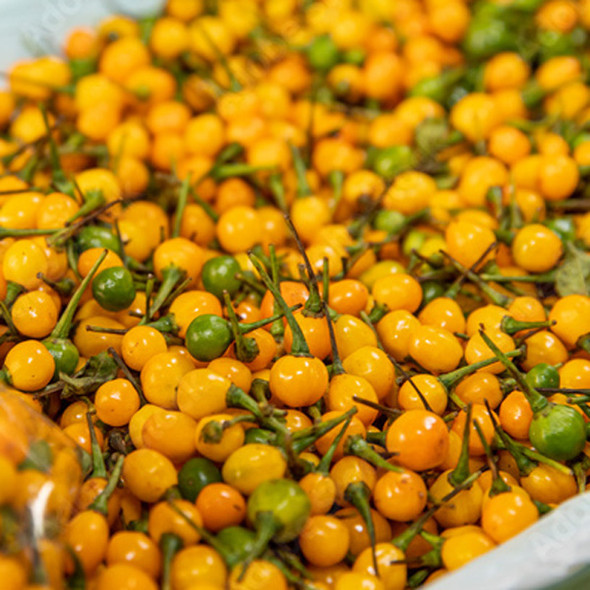 TETINAS DE MONK