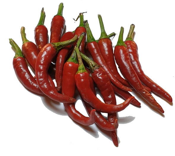 ALEGRIA RIOJANA MATURE PODS ALEGRIA RIOJANA MATURE PODS