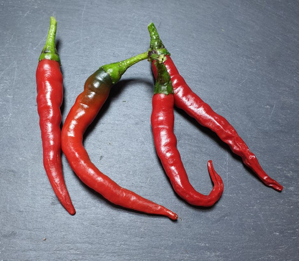 CAYENNE MILD TURKISH MATURE PODS CAYENNE MILD TURKISH MATURE PODS