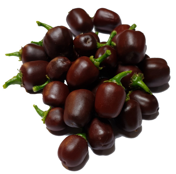 COBANERO MATURE PODS COBANERO MATURE PODS