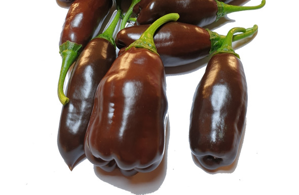 MACHU PICCHU MATURE PODS MACHU PICCHU MATURE PODS