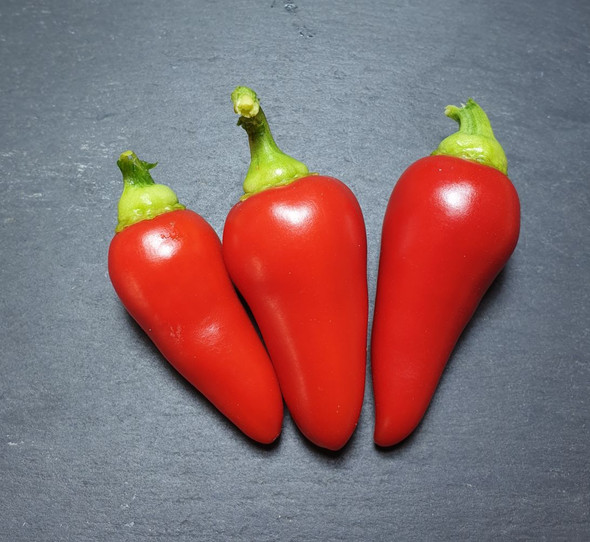 CALORO MATURE PODS CALORO MATURE PODS