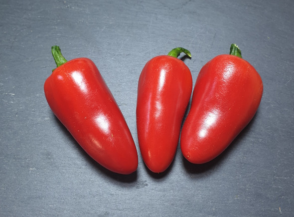 JALAPENO JALAPA MATURE PODS 2 JALAPENO JALAPA MATURE PODS 2