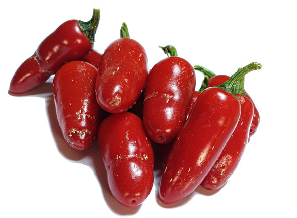 JALAPENO BILLY BIKER MATURE PODS JALAPENO BILLY BIKER MATURE PODS