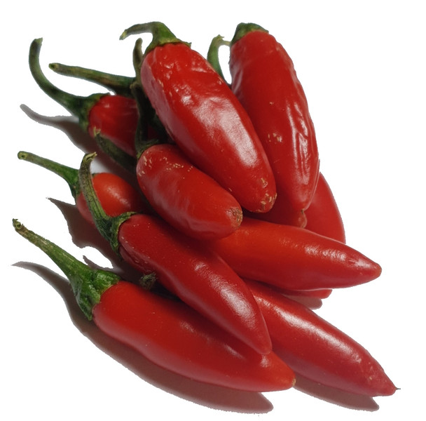 SERRANO HUASTECO MATURE PODS