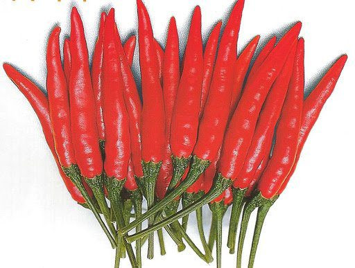 THAI RED DEMON F1