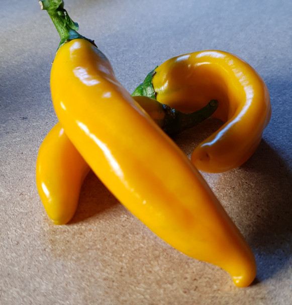 RAMIRO YELLOW MATURE PODS