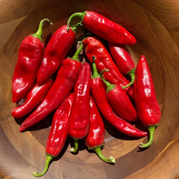 SAN JOSE MARKET